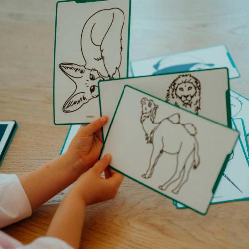 KidyDraw - Tablet de Desenho - Animal Around the World